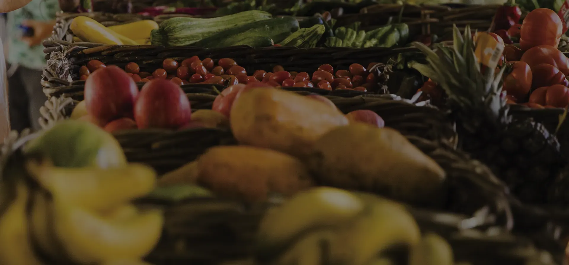 Food Safety Regulations Agencies